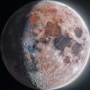 clarknakagawa44 avatar