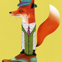 classic-fox avatar