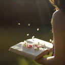 classic-literature-lover avatar