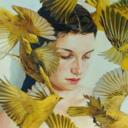 classic-pomegranate avatar