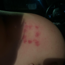 classic0archer avatar