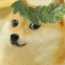 classical-doge avatar