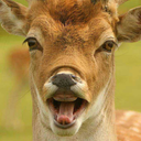 classikal-journey-blog avatar