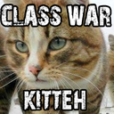 classwarkitteh avatar