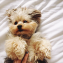 classy-as-fuck-xoxo avatar