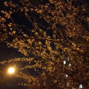 classychildreview avatar