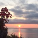 classypotatoe avatar