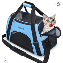 classywitchtacos avatar