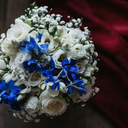 claudiaantolini avatar