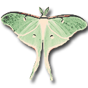 claustritumus avatar