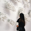 claustroflowbic avatar