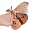 claustrophobics avatar