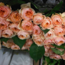 clayanddiamonds avatar