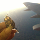 clayjoshadventures avatar