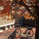 clean-up-on-aisle-3 avatar