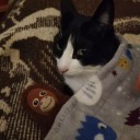 cleaningouttherooms avatar