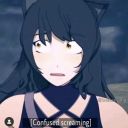 clearly-screeching-collection avatar