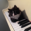 clearlynoodles avatar