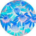 clearlysmitty avatar