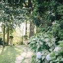 cleavagewithfirepower avatar