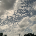 cleavingimitation avatar