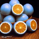 clementineandmine avatar