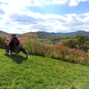 clementinejazz avatar