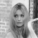 clementineraver avatar