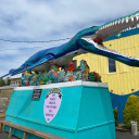 cleocatrablossy avatar