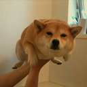 clever-blog-name avatar