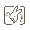 cleverbunnycompany avatar