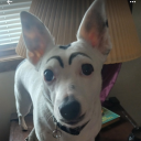 clevercolorobject avatar