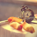 clevereverest avatar