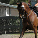 clevername-here avatar