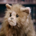 cliffexcellent avatar