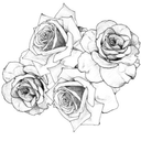 cliffroses-blog avatar