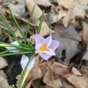 clingingontohope avatar