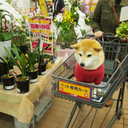 clinicadelalma avatar