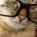 clinicallysane88 avatar