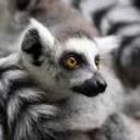 clip-2-clip-blog avatar