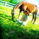 clipclophappyhorse avatar