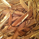 clipped-wingss avatar