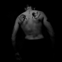 clock-lightning1955 avatar