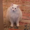 clock-work-soul avatar