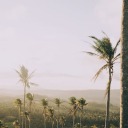 clockworkcorvus avatar