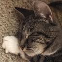 clonerightsagenda avatar