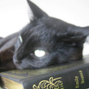 clorofilarosa avatar