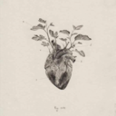 clorofillasuimieiguai avatar