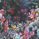 closed-eyes-clear-mind avatar