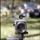 closedtrimmer avatar